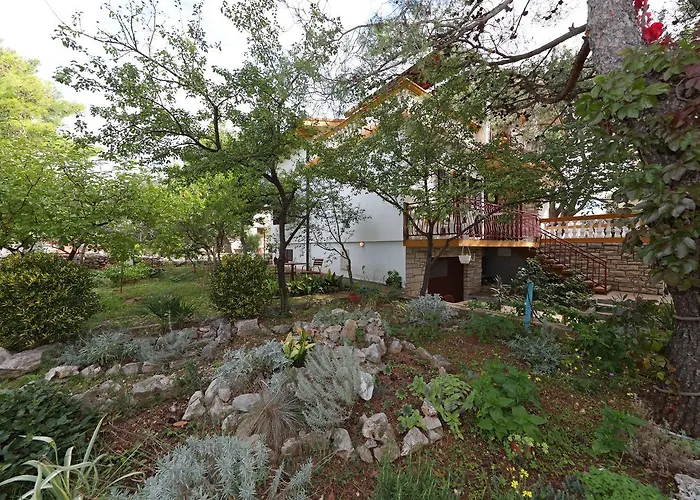 Jeriko ヴォディツェ