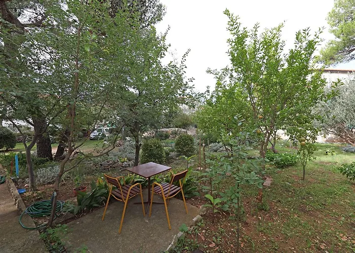 Jeriko 3* ヴォディツェ